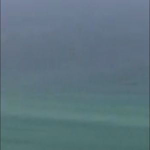 Meet your Posher, Cyndi